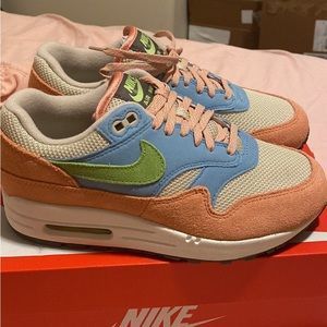 Nike Air Max 1 Light Madder Root